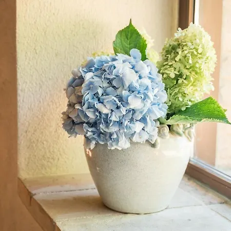 Vecchio Forno Only Adult, Luxury, History, Comfort Дом отдыха